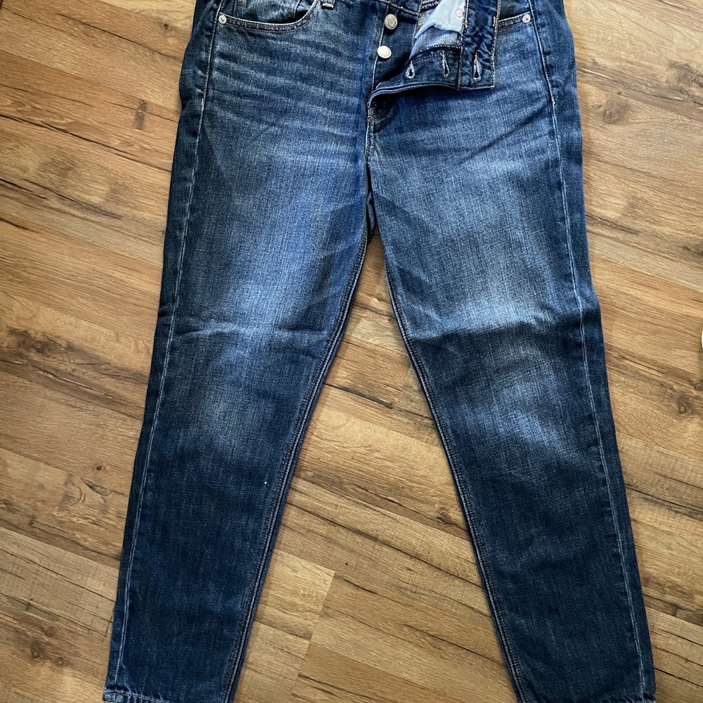 American Eagle Tomgirl fit button fly